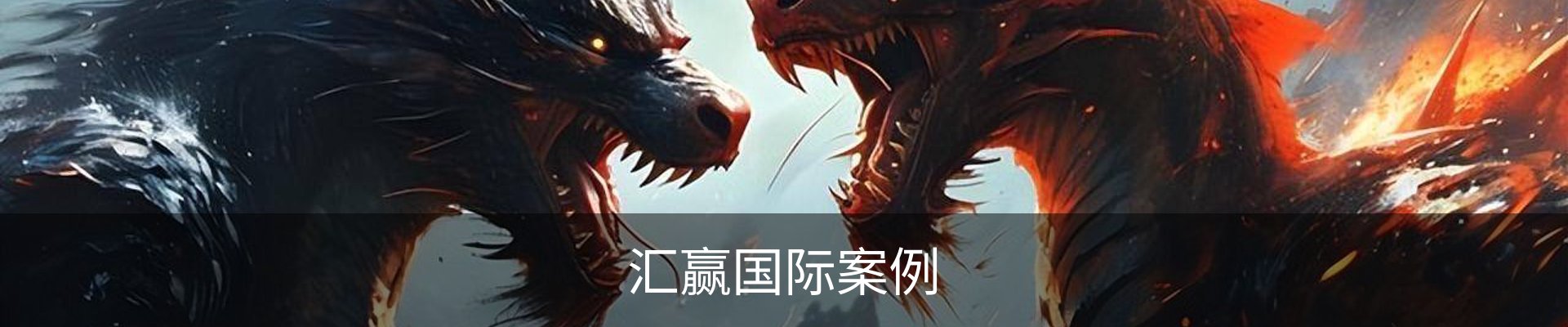 汇赢国际案例